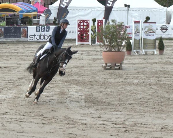 Reitturnier Werne-Lenklar 2025