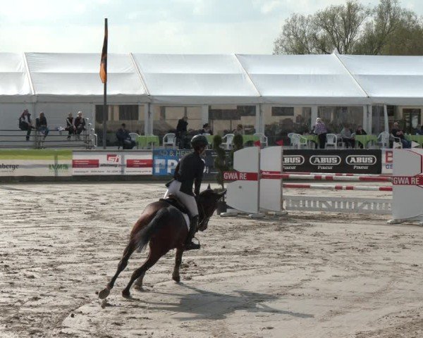 Reitturnier Werne-Lenklar 2025