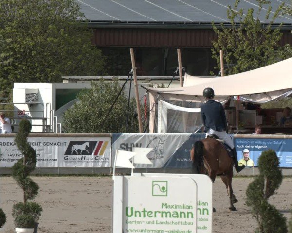Reitturnier Werne-Lenklar 2025