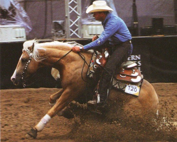 stallion Peek A Boom (Quarter Horse, 2002, from Boomernic)