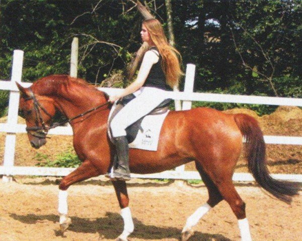 broodmare Gilda (Saxony-Anhaltiner, 1996, from Gepard)