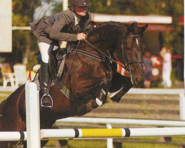 broodmare Lara H.R. (Hanoverian, 1998, from Landclassic)