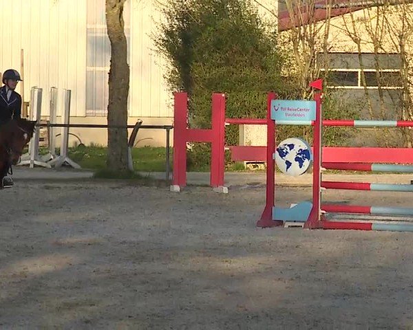 Reitturnier Rot am See- Musdorf 2025