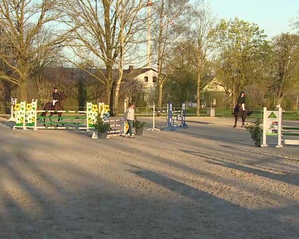 Reitturnier Rot am See- Musdorf 2025