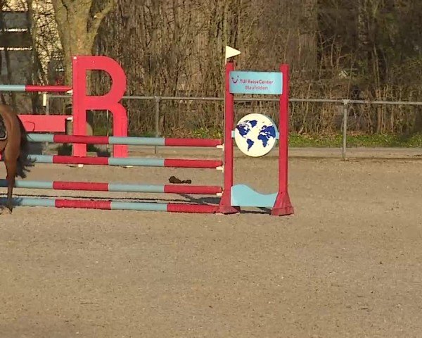 Reitturnier Rot am See- Musdorf 2025