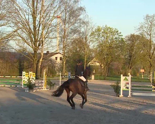 Reitturnier Rot am See- Musdorf 2025