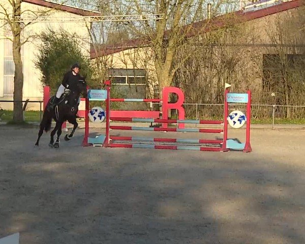 Reitturnier Rot am See- Musdorf 2025