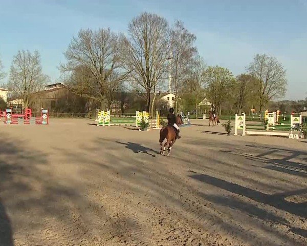 Reitturnier Rot am See- Musdorf 2025