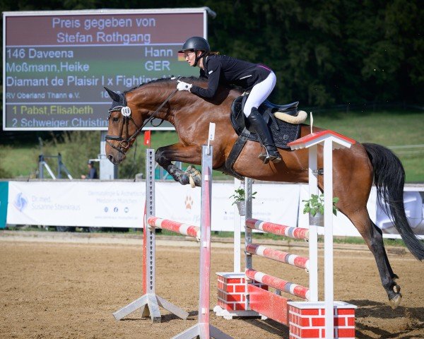 Springpferd Daveena (Hannoveraner, 2018, von Diamant de Plaisir 178 FIN)