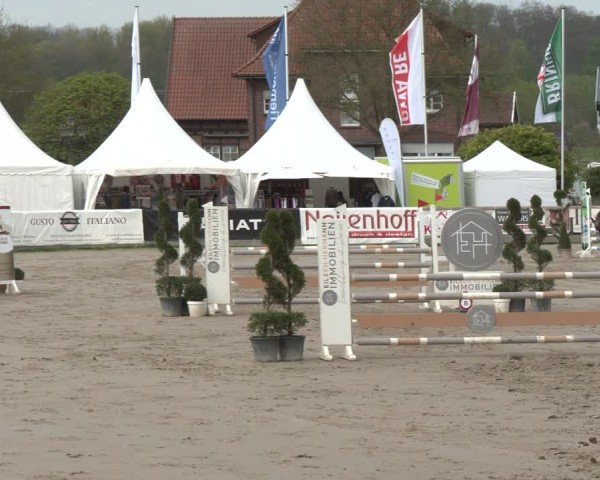 Reitturnier Werne-Lenklar 2025