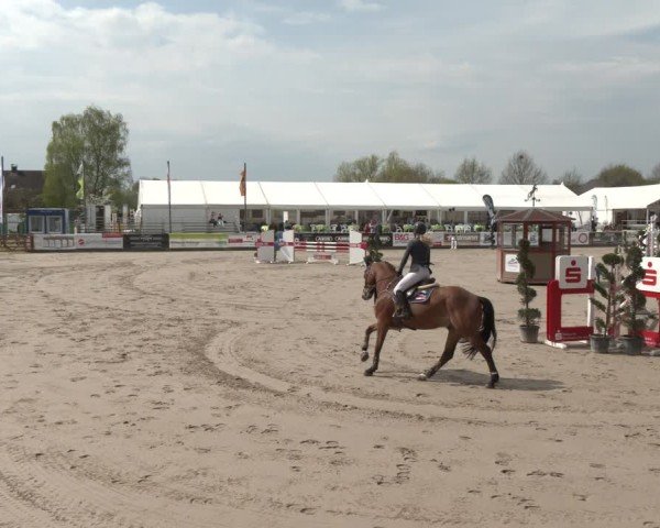 Reitturnier Werne-Lenklar 2025