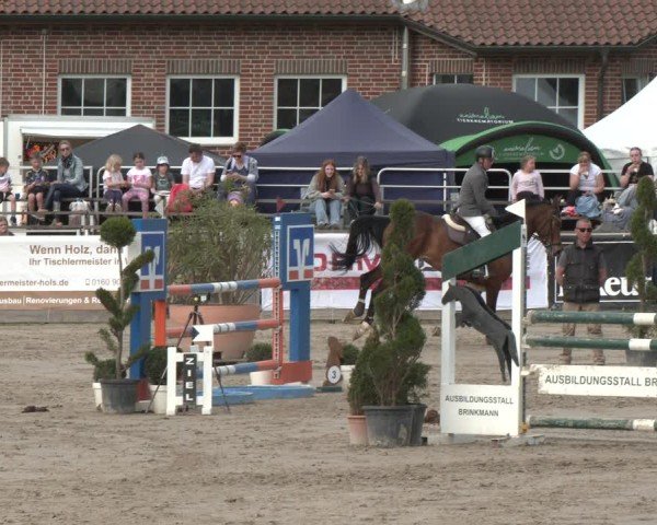 Lenklarer Reitertage Werne 2025