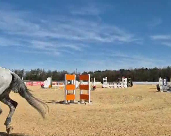 Video of Graf Glueck 3
