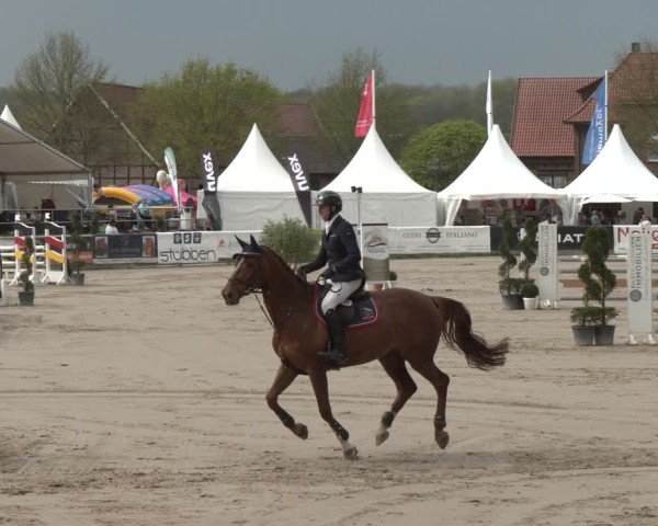 Reitturnier Werne-Lenklar 2025