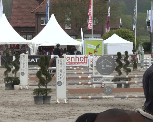 Lenklarer Reitertage Werne 2025