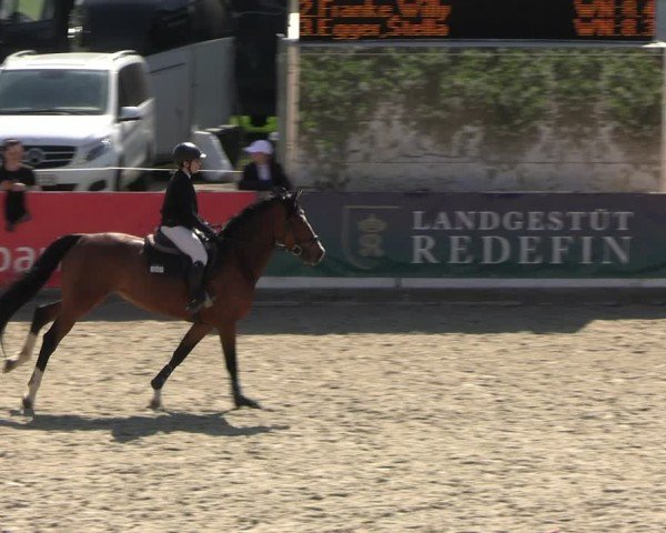 Reitturnier Redefin 2025