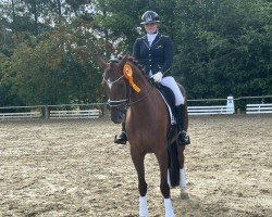 Zuchtstute Audemars Piquet S (Oldenburger, 2019, von Fuechtels Floriscount OLD)