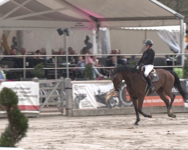 Reitturnier Werne-Lenklar 2025