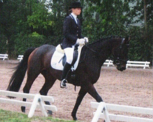 dressage horse Fleur de Lys 16 (Saxony-Anhaltiner, 2002, from Ferman)