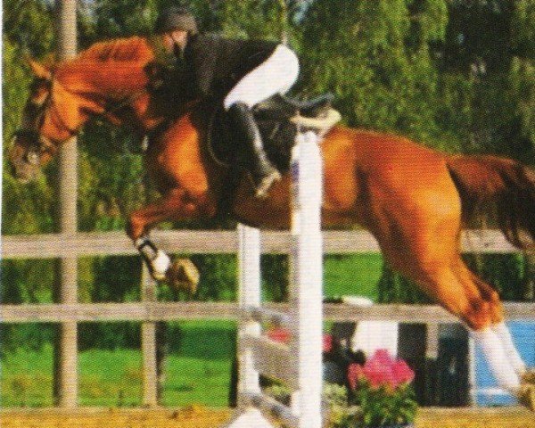 Zuchtstute Gianna 120 (Westfale, 2000, von Giradelli)