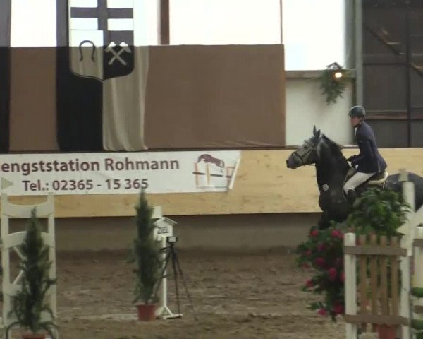 21. Großes Hallen-Springturnier 2013 - Alt Marl