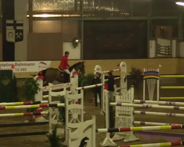 21. Großes Hallen-Springturnier 2013 - Alt Marl