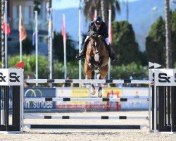 jumper Henkie-Penkie (KWPN (Royal Dutch Sporthorse), 2012, from Plot Blue)