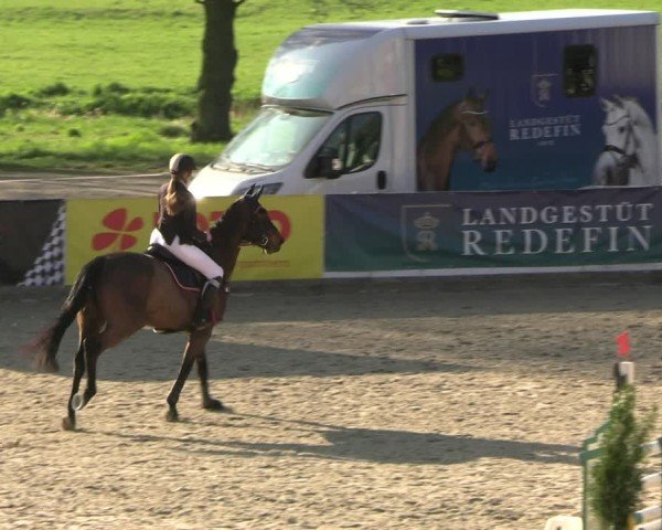 Reitturnier Redefin 2025