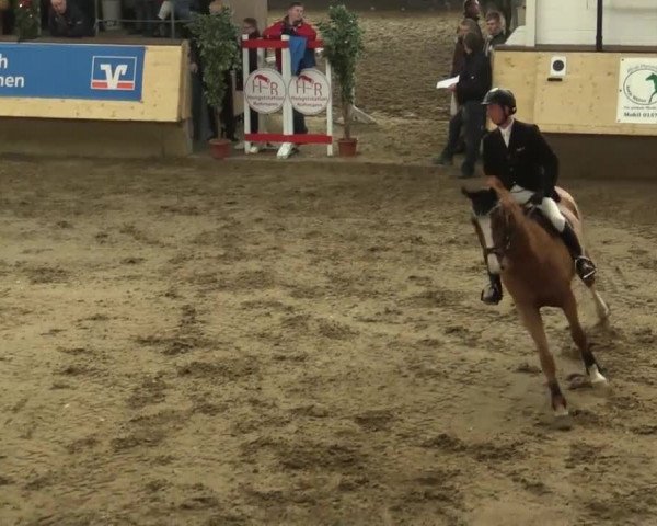 21. Großes Hallen-Springturnier 2013 - Alt Marl