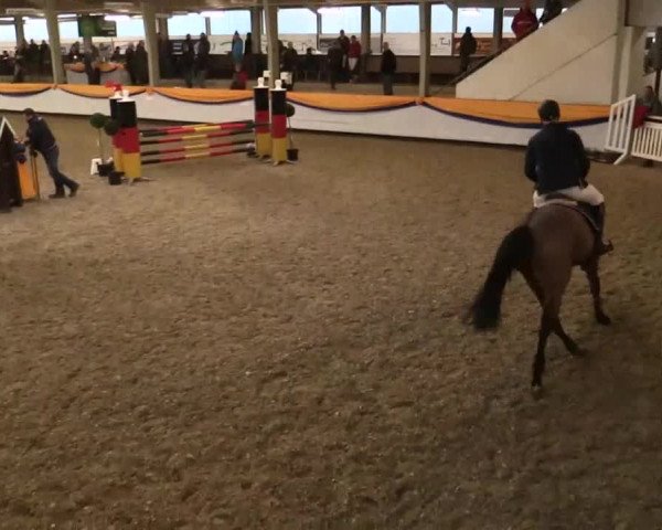 Vreden 2014