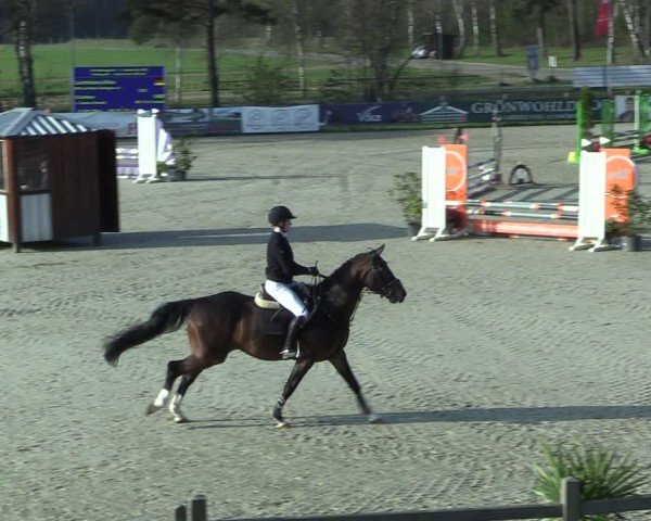 Reitturnier Westergellersen 2025