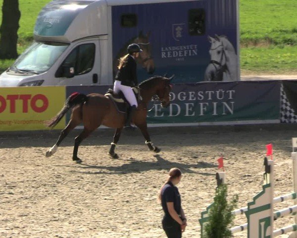 Reitturnier Redefin 2025