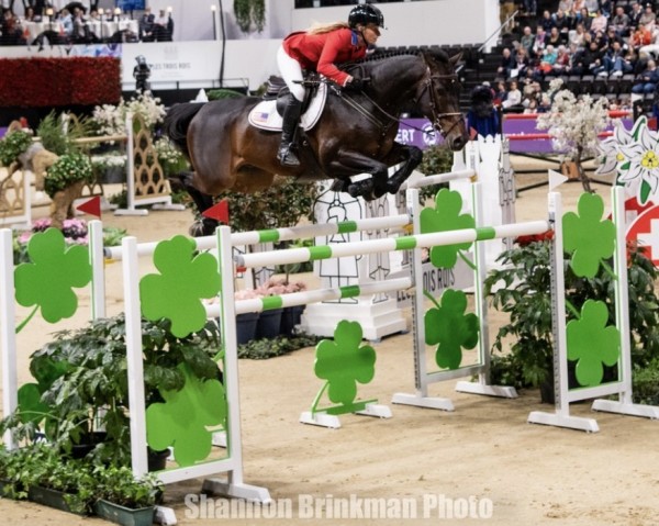 Springpferd Bull Run's Jireh (Holsteiner, 2014, von Uriko)
