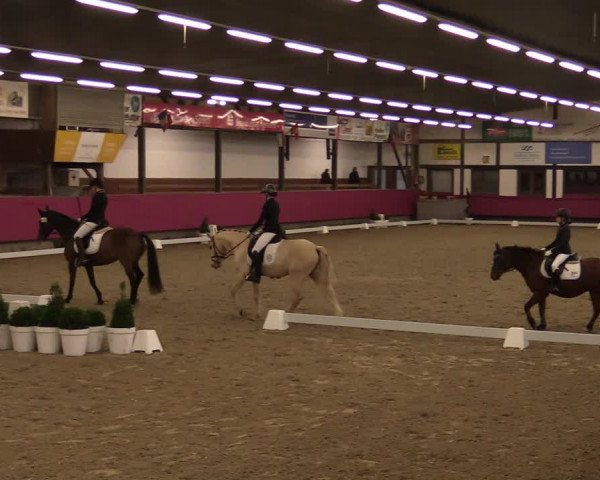 Reitturnier Vlotho-Exter 2021