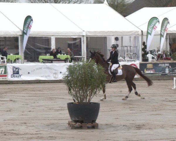 Reitturnier Werne-Lenklar 2025
