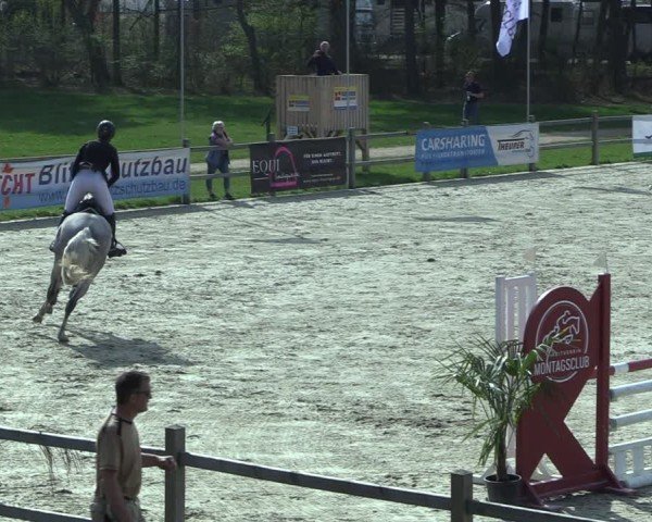 Reitturnier Westergellersen 2025