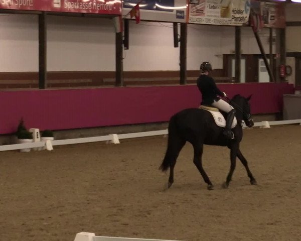 Reitturnier Vlotho-Exter 2021