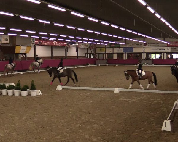 Reitturnier Vlotho-Exter 2021