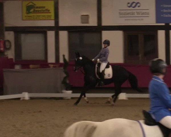 Reitturnier Vlotho-Exter 2021