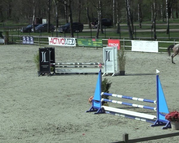 Reitturnier Westergellersen 2025