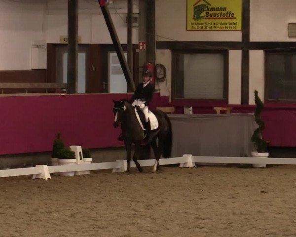 Reitturnier Vlotho-Exter 2021