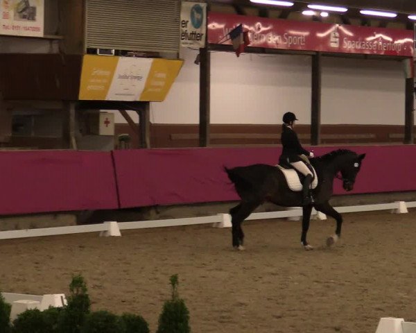 Reitturnier Vlotho-Exter 2021