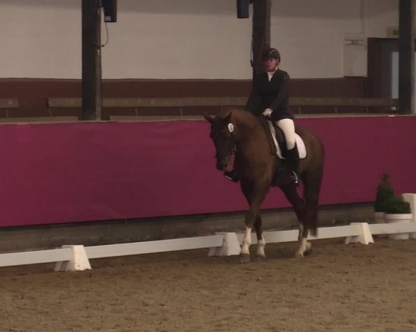 Reitturnier Vlotho-Exter 2021