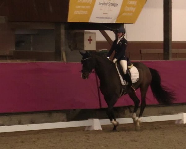 Reitturnier Vlotho-Exter 2021