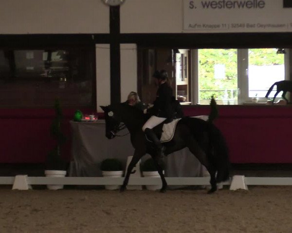 Reitturnier Vlotho-Exter 2021