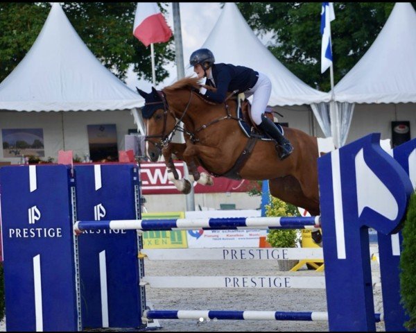 jumper BEC Romanov take two (Irish Sport Horse, 2018, from Romanov)