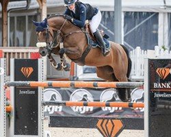 jumper Keatingstown Leia (KWPN (Royal Dutch Sporthorse), 2016, from VDL Bubalu)