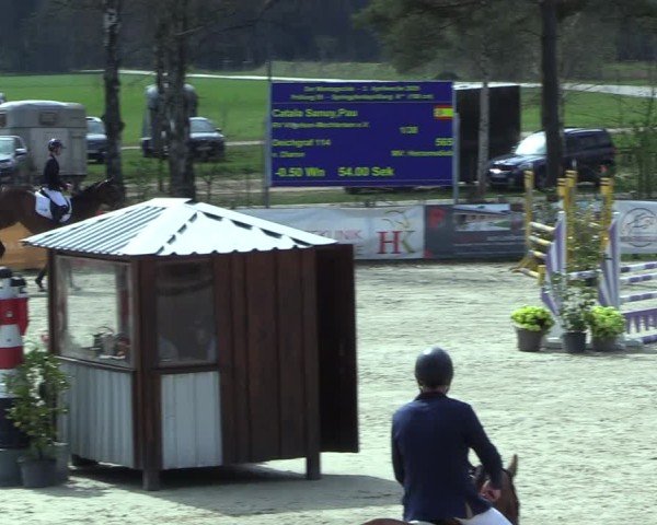 Reitturnier Westergellersen 2025