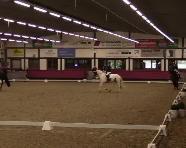 Reitturnier Vlotho-Exter 2021