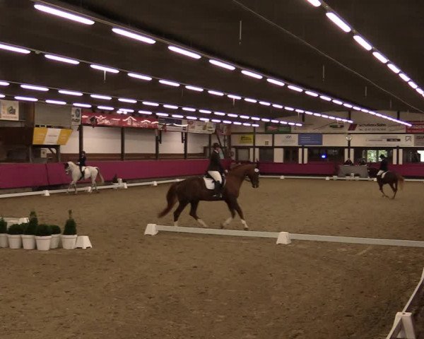 Reitturnier Vlotho-Exter 2021